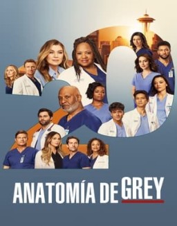 Anatomía de Grey temporada  20 online