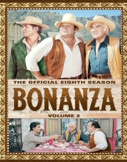 Bonanza temporada  8 online