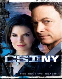 CSI: Nueva York temporada  7 online