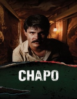 El Chapo temporada  1 online