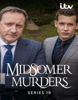 Los asesinatos de Midsomer temporada  19 online